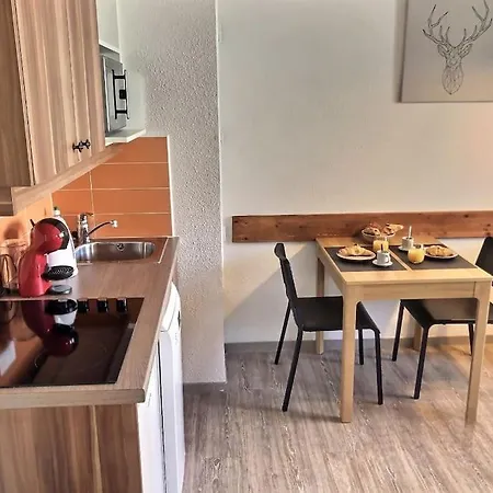 *nouveau* Pied Des Pistes * Piscine Ext. Chauffée* Appartement
